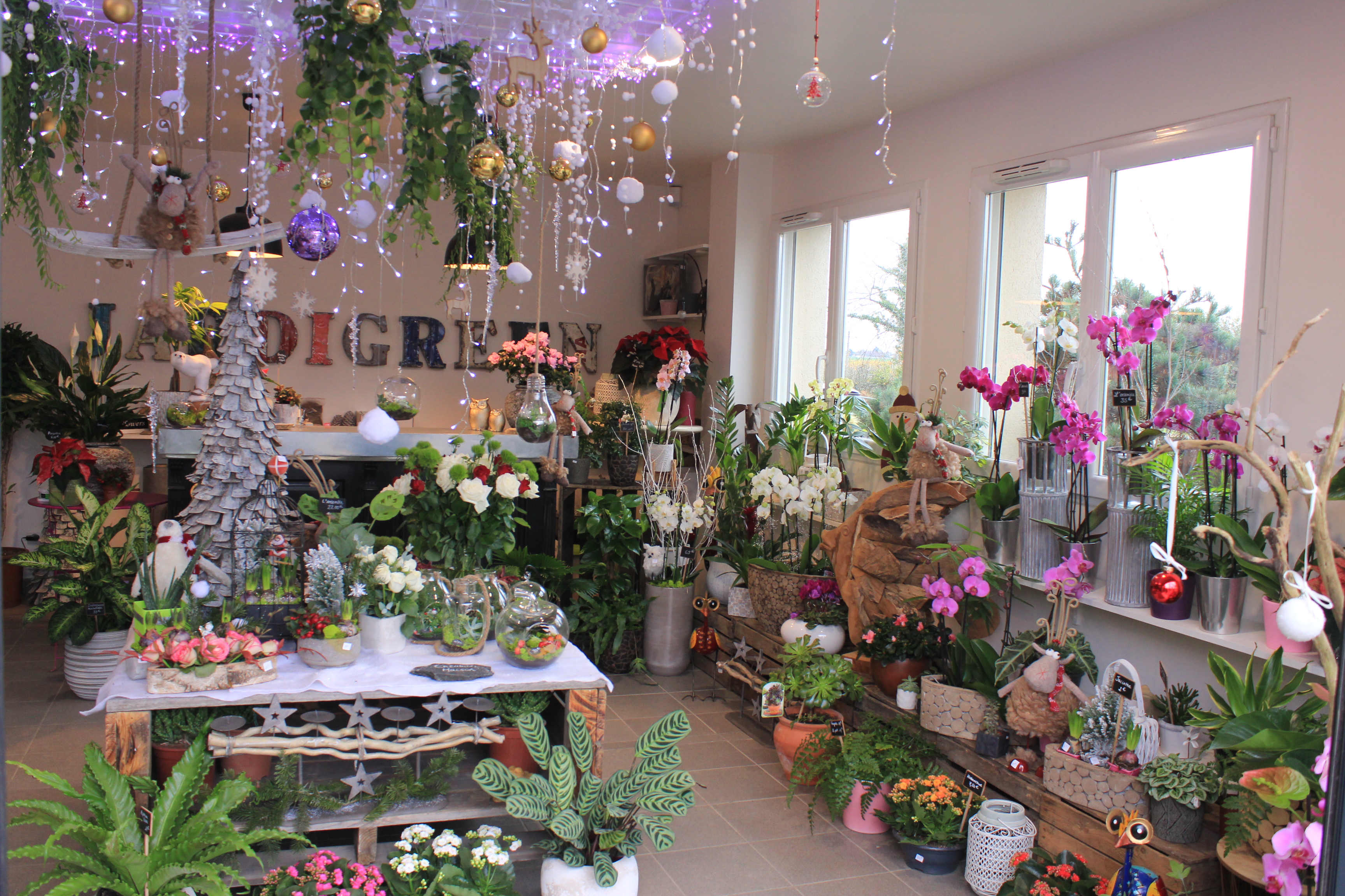 La boutique