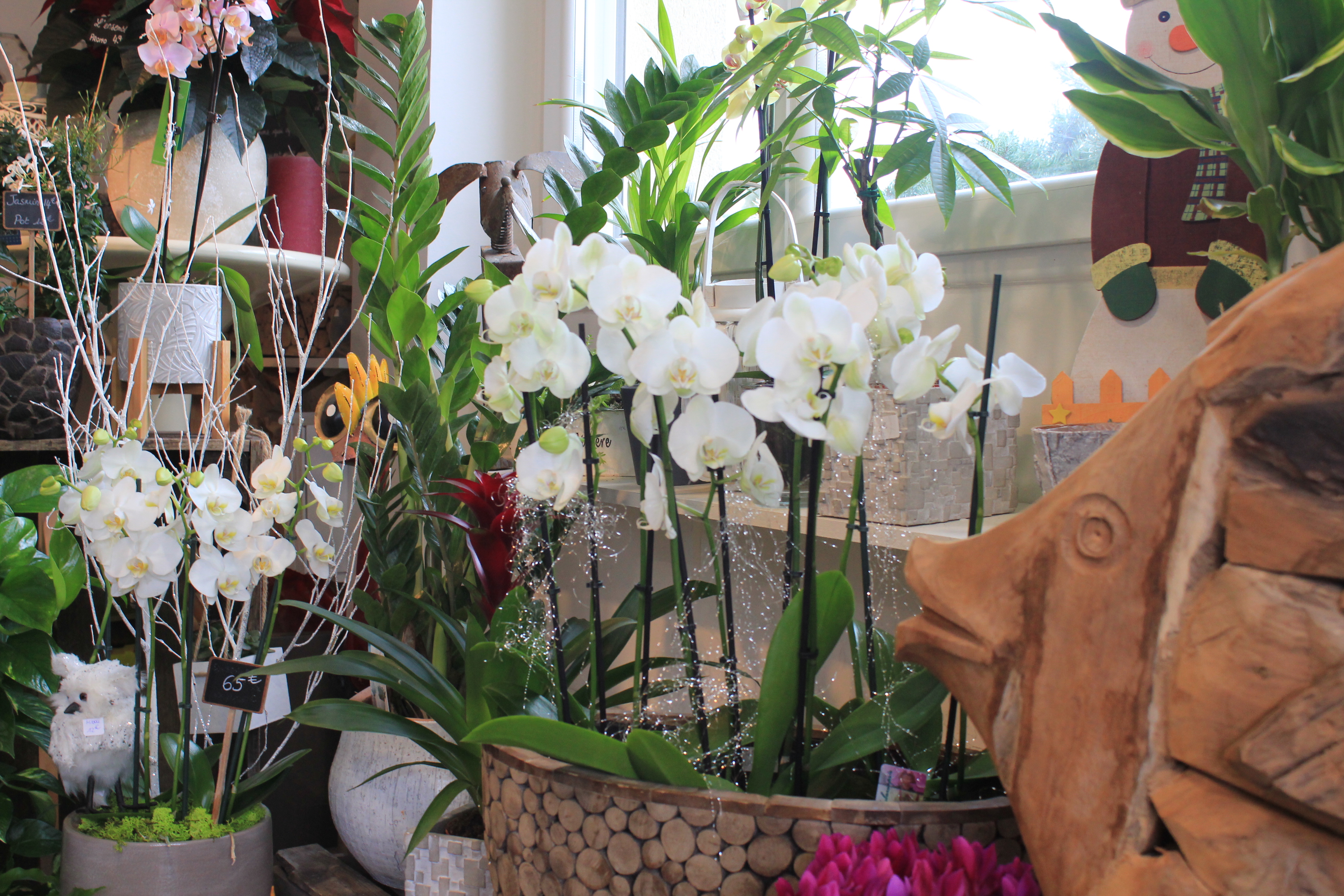 Fleurs blanches