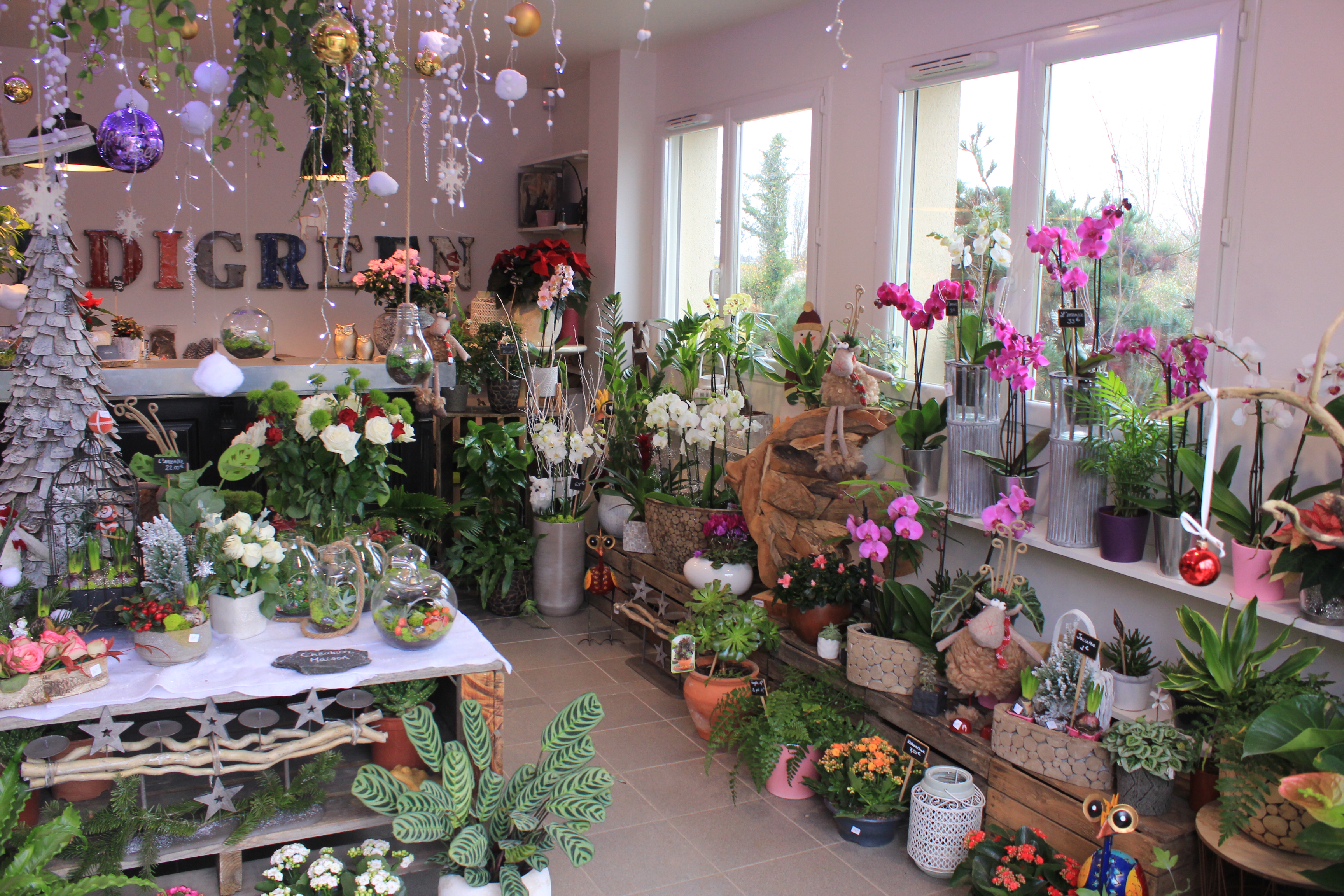 La boutique