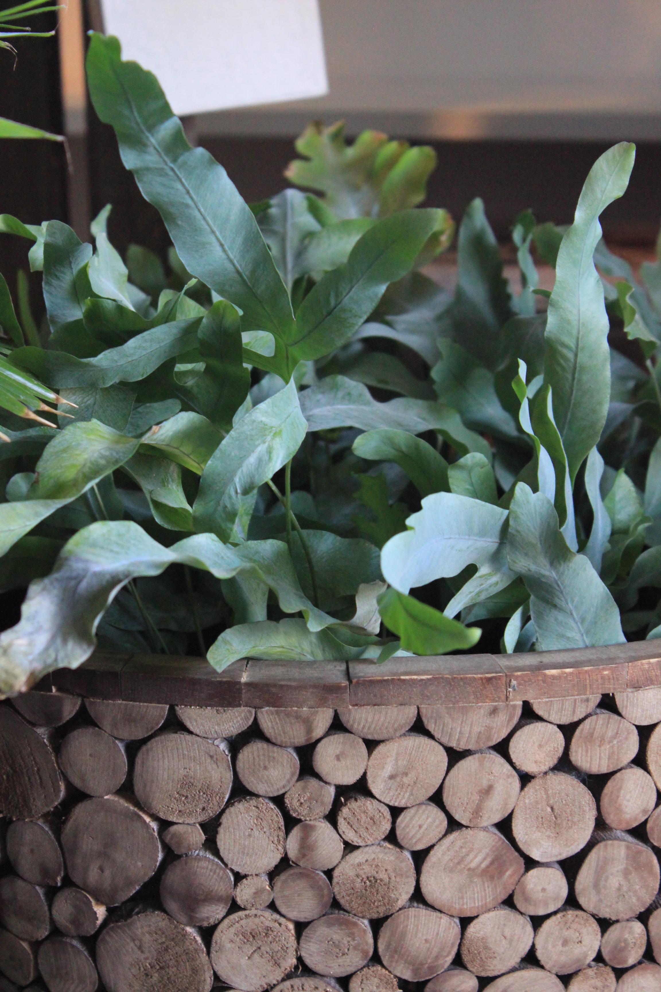 Pot en bois