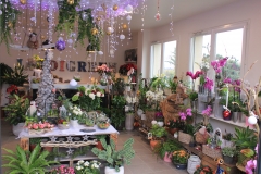 La boutique