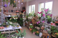 La boutique