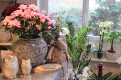 Décoration