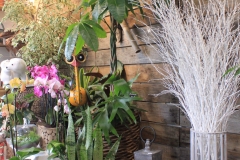 Décoration