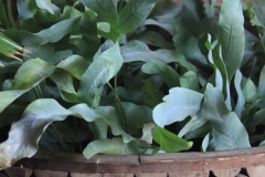 Pot en bois